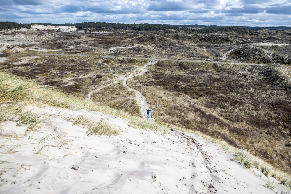 schoorlse duinen