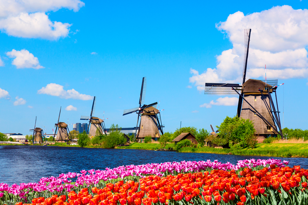 De windmolens in Kinderdijk