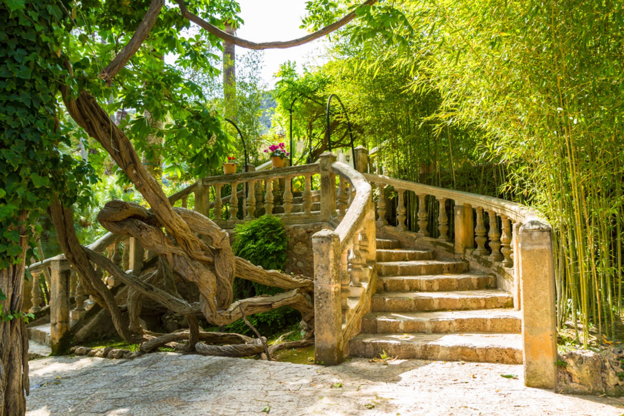 jardines de alfabia