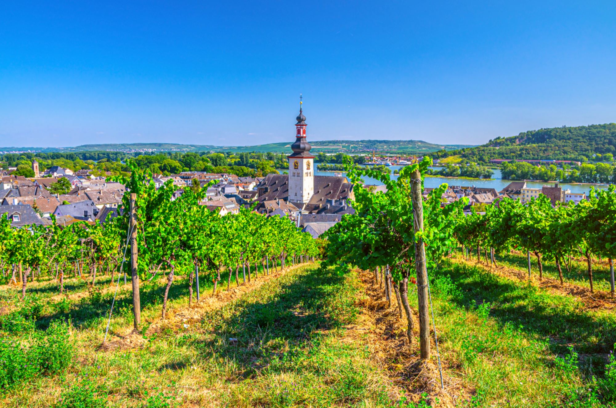 rheingau