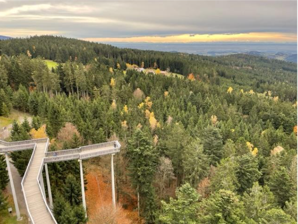 Magnifique vue sur le paysage de la Forêt Bavaroise