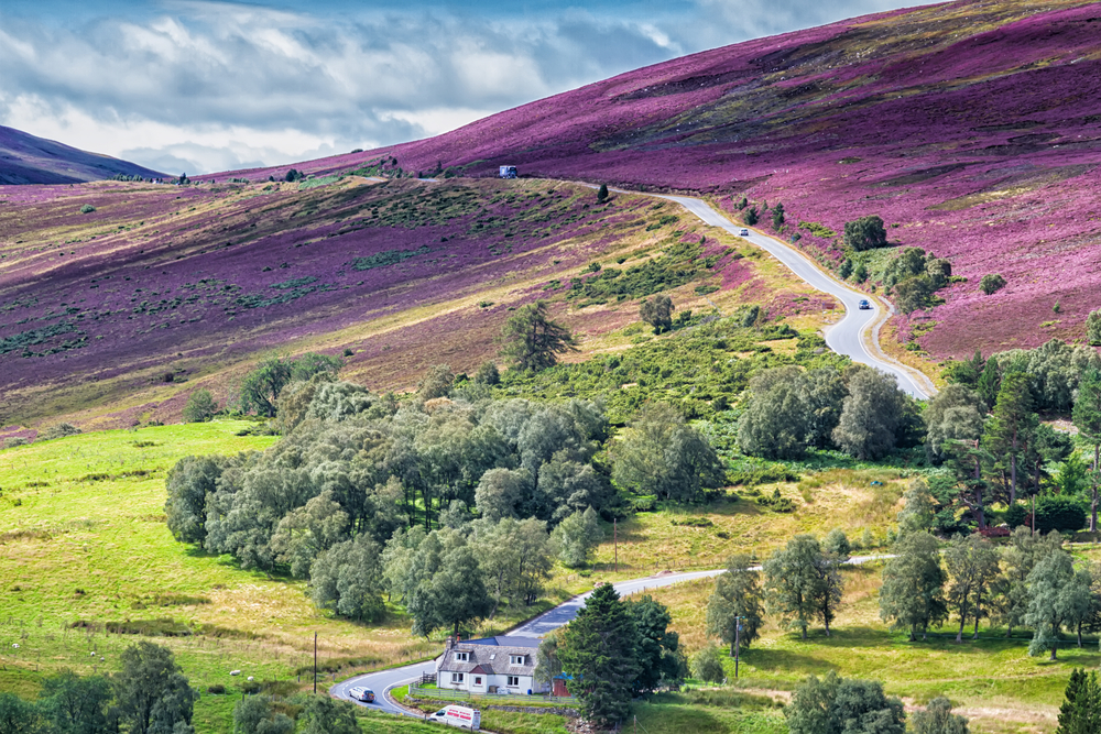 voyage ecosse : highlands