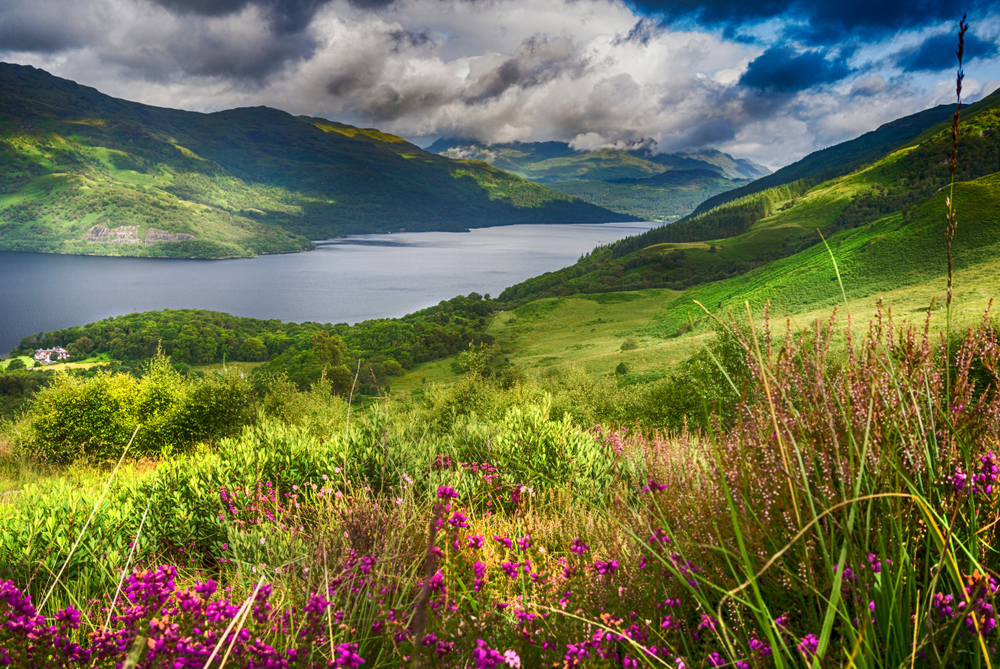 voyage ecosse : loch lomond